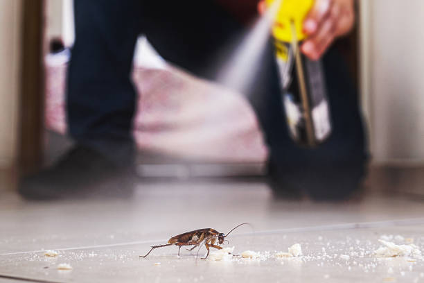 Pest Control for Restaurants in Corydon, IA